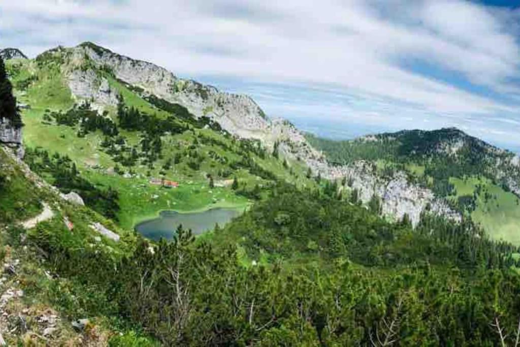 Topmodernes Studio - Sommer Im Bayerischen Inntal Brannenburg Exteriér fotografie
