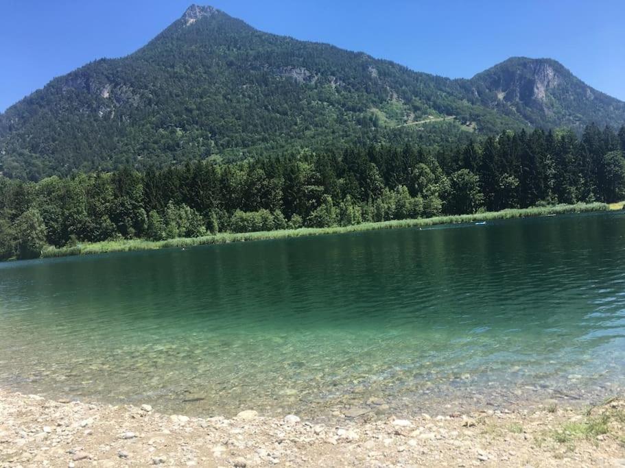 Topmodernes Studio - Sommer Im Bayerischen Inntal Brannenburg Exteriér fotografie